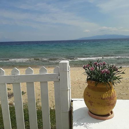 House Kokkalas On The Beach Pyrgadikia Exterior photo