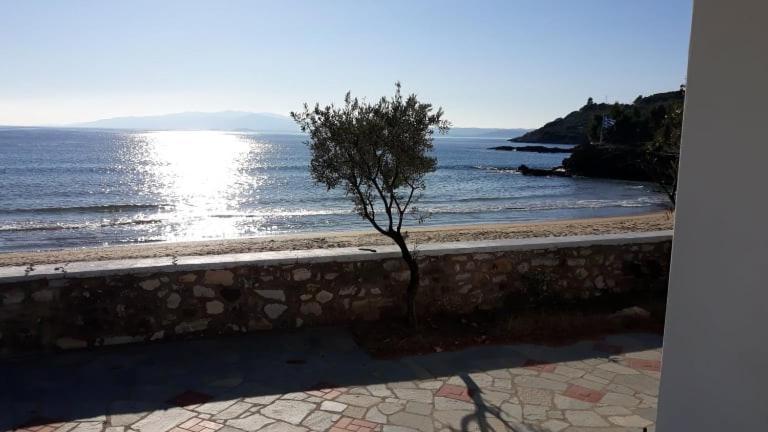 House Kokkalas On The Beach Pyrgadikia Exterior photo