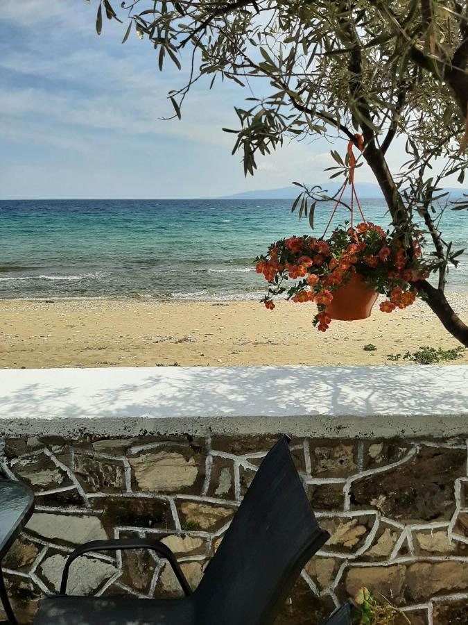 House Kokkalas On The Beach Pyrgadikia Exterior photo